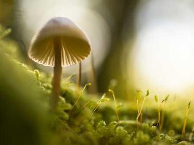 Baby & Kids Products