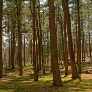 Acer Aspire 5 Laptop