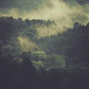 Dabur Chyawanprash 1kg