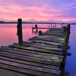 Himalaya Gokshura Tablets