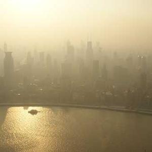 Himalaya Herbals Shampoo