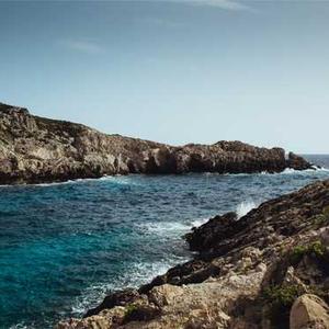 Himalaya Neem Face Pack