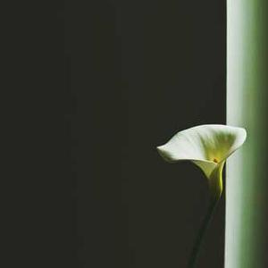 Jockey Men's Vests Pack