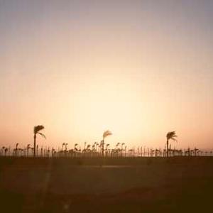 Jockey Women's Camisole